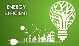 Brijstar Energy Efficient Lights