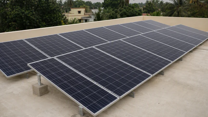 Rows of solar panels arranged across an open rooftop